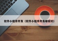 软件小程序开发（软件小程序开发哪家好）