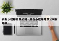 商丘小程序开发公司（商丘小程序开发公司有哪些）