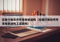 在银行做软件开发有前途吗（在银行做软件开发有前途吗工资高吗）