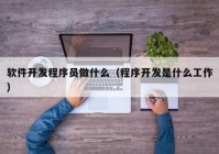 软件开发程序员做什么（程序开发是什么工作）